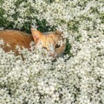 WhatsApp Image 2023-06-08 at 20.19.05